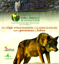 El Lobo Ibérico